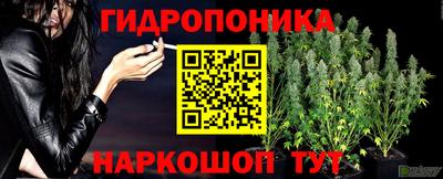 MESCALINE Можга