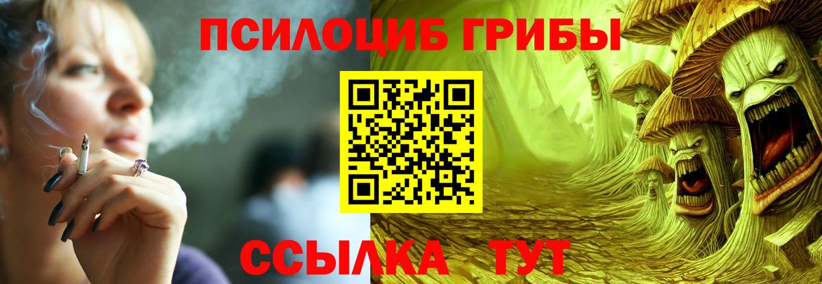 Псилоцибиновые грибы мицелий  Вход с VPN  Сибай 